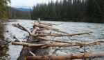 Special Report: The First Nations Blockade That Could Shut Down the Tar Sands