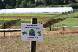 Winter Green Farm Sign photo by Paul Dunn