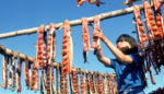 To Native Culture, the Salmon Decision Means More Than a Treaty Rights Win