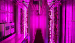YES! On Air: Why This Montana Farmer Grows Food Year-Round in Shipping Containers