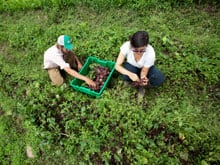 Organic Farming Photo by Matthew Sussman