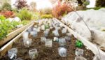 7 Ways to Garden Like You Know What You’re Doing (Even If You’re Just Getting Started)