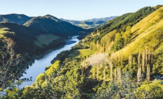 whanganui-river-human-rights-new-zealand-maori.jpg