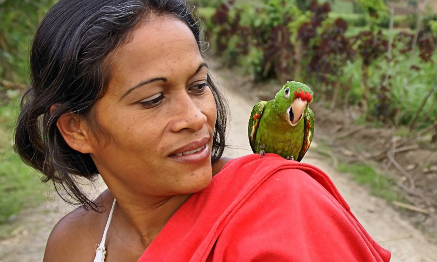 Why Costa Rica Tops the Happiness Index - YES! Magazine Solutions