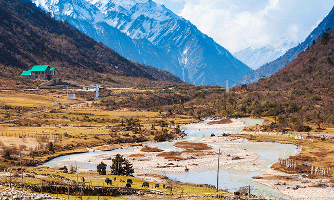 Locals Dig Deep to Save Himalayan Springs From Drying Out