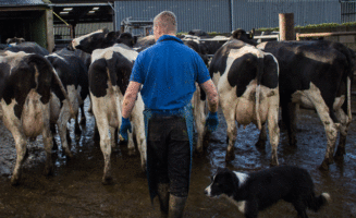 farming_650.gif