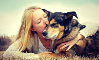 Dog Eulogy