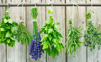 Herbs