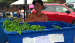 Market Offers Wealth of Tradition—and Veggies—for Immigrant Farmers and Shoppers