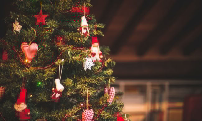 XmasTree.jpg