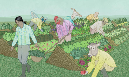 perennial-farming-credit-jon-adams.jpg