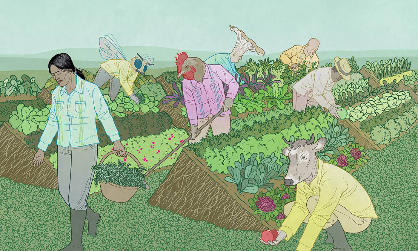 perennial-farming-credit-jon-adams.jpg