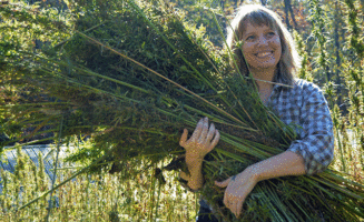 Hemp Farming Big Switch Farm