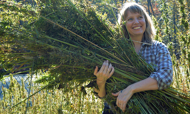 Hemp Farming Big Switch Farm