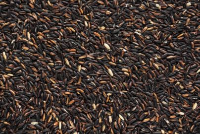 joanna kosinska wild rice moon.jpg