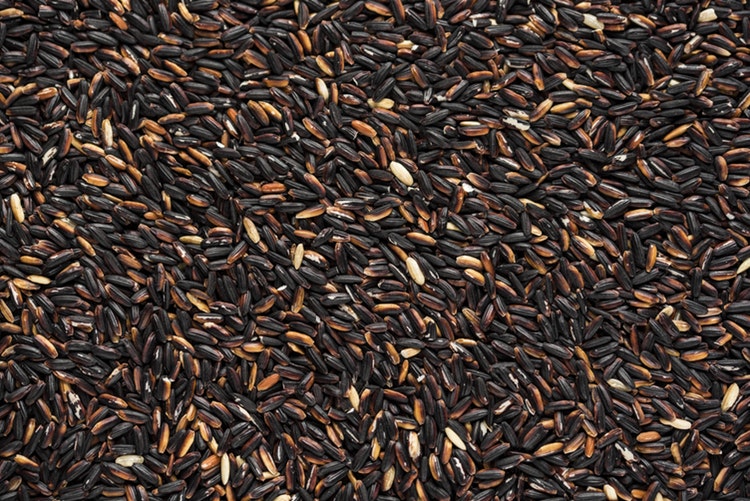 joanna kosinska wild rice moon.jpg