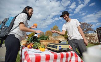 Our Harvest photo by Phil Didion