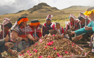 Indigenous seed savers