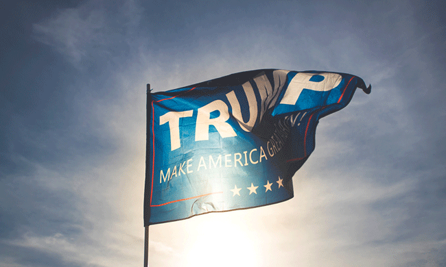 TrumpFlag.gif