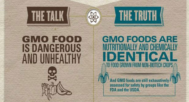 GMO-infographic-primary-ima.jpg