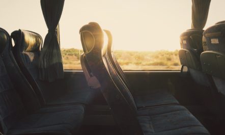 greyhound-bus-border-patrol.jpg