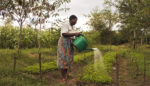 Agroecology Is Becoming A Global Movement. But Where Does the U.S. Fit In?