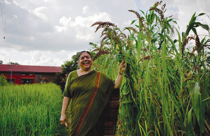 What Would Nature Do?