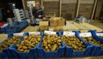 The Netherlands Can Feed the World. Here’s Why It Shouldn’t