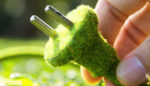 Dutch Company Powers Streetlights With Living Plants; Will Your Cell Phone Be Next?