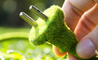Grass covered plug by Shutterstock