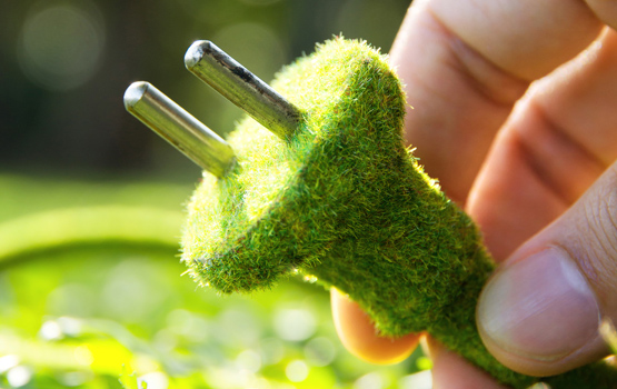 Grass covered plug by Shutterstock
