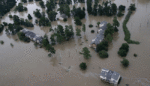 Houston Neighbors Said No to Walmart and Invested in Black-Owned Businesses After the Hurricane