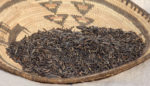 The White Earth Band of Ojibwe Legally Recognized the Rights of Wild Rice