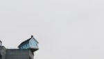 Call for Submissions: Solutions to Our Housing Crisis