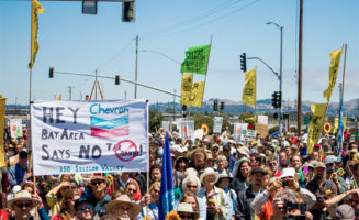 Bay area Summer Heat. Photo by Shadia Fayne Wood.