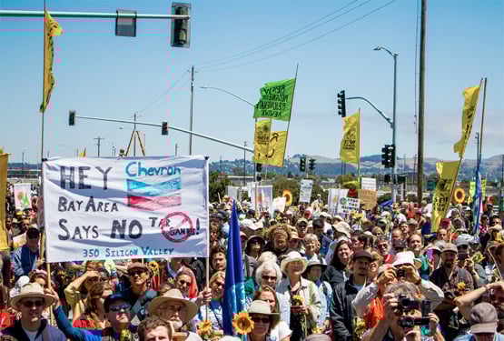 Bay area Summer Heat. Photo by Shadia Fayne Wood.