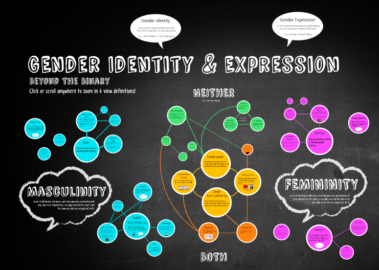 Gender Identity Map 2
