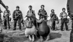 What Standing Rock Tells Us About Civil Disobedience