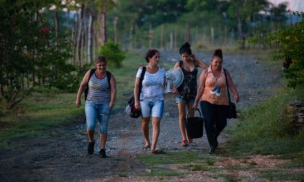 farm-cuba.jpg