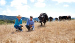 What’s a Carbon Farmer? How California Ranchers Use Dirt to Tackle Climate Change