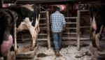 I Was Wrong About the Rural–Urban Divide