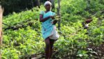 They Lost Their Jungles to Plantations, But These Indigenous Women Grew Them Back