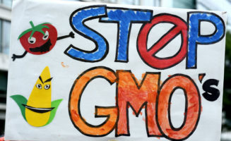 GMOS_650.jpg