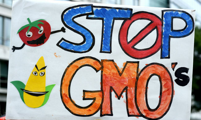 GMOS_650.jpg