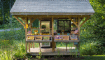 What Small Farms Need to Compete With Corporate Food