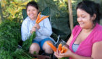 Farmer Startups? How Incubators Are Helping Small, Sustainable Farms Take Off