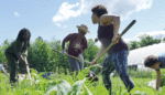 A Digital Map Leads to Reparations for Black and Indigenous Farmers