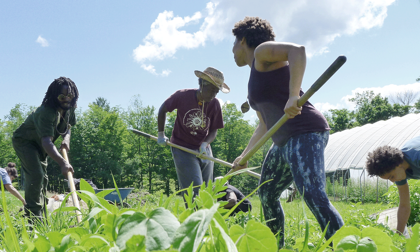 A Digital Map Leads to Reparations for Black and Indigenous Farmers