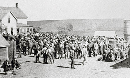 farmerpennyauction.jpg