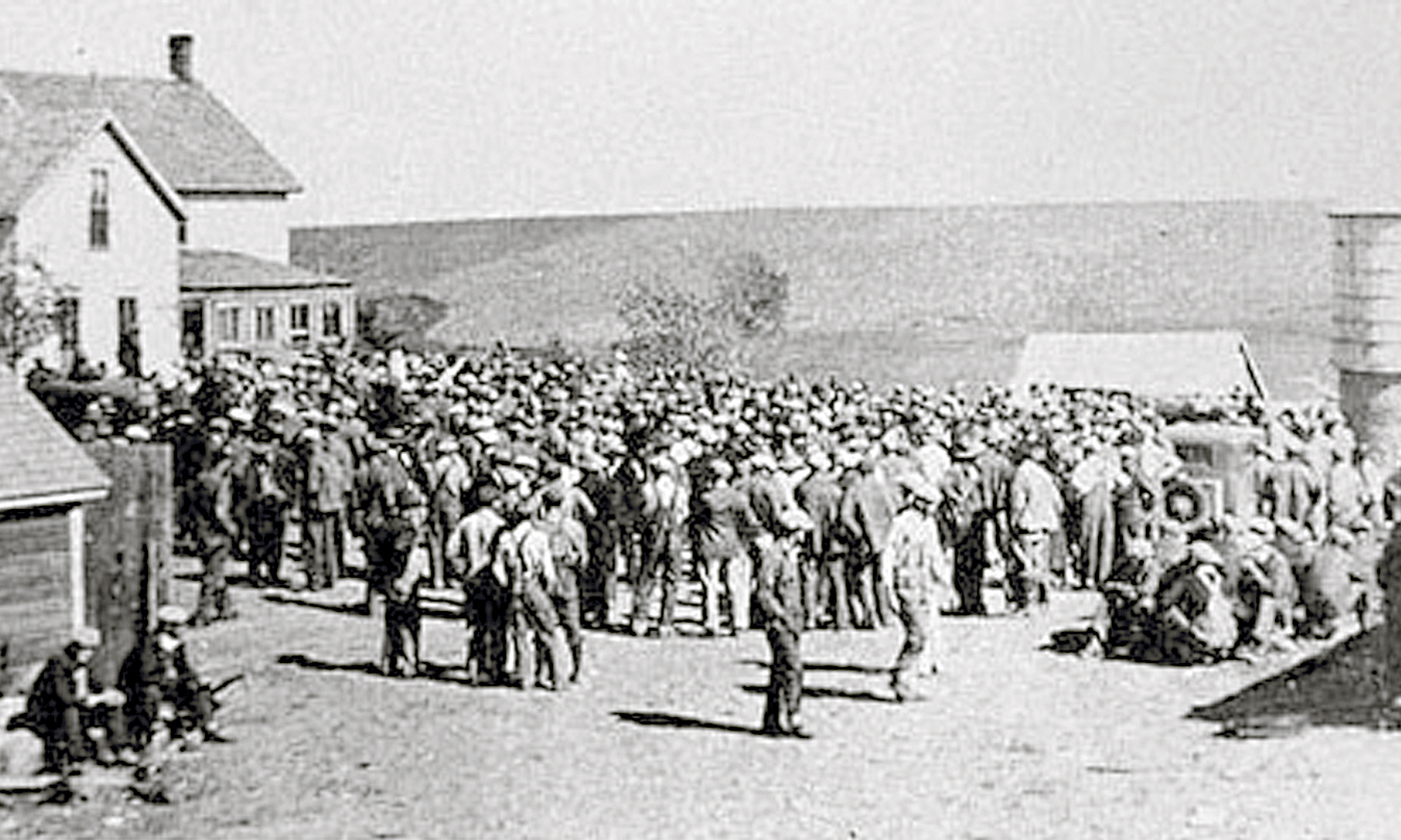 farmerpennyauction.jpg